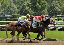 freehold raceway results|equibase race results all tracks.